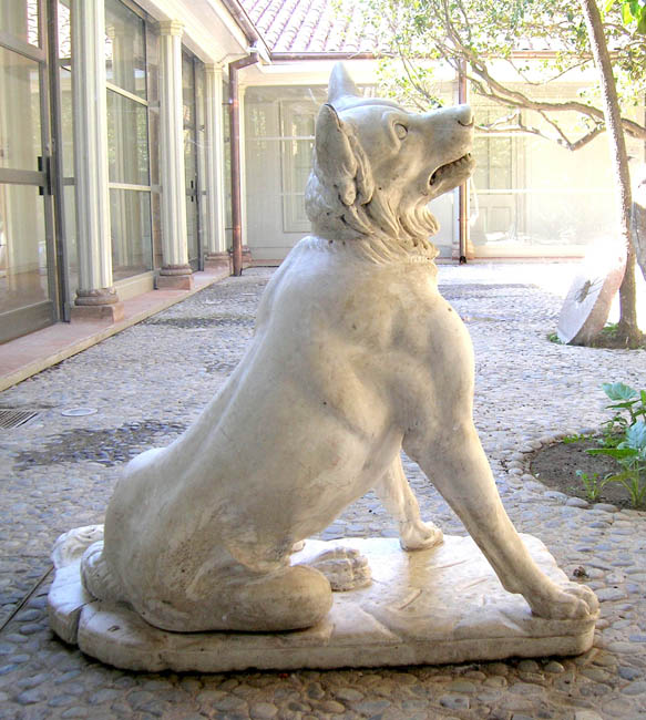 Parque de perros en el centro – LabIN Granada