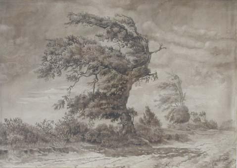 Primera imagen del registro Un Vencido (un árbol)