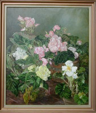 Primera imagen del registro Begonias