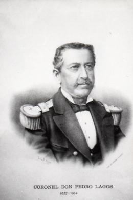 Primera imagen del registro Retrato del Coronel Don Pedro Lagos Marchant