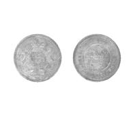 Primera imagen del registro 1 Penique (Token)