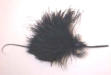 Primera imagen del registro Aigrette