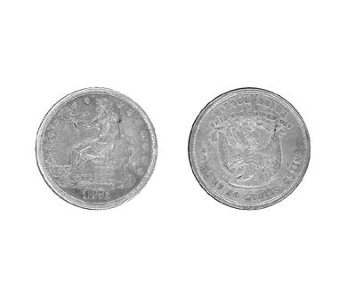 Primera imagen del registro 1 Dólar
