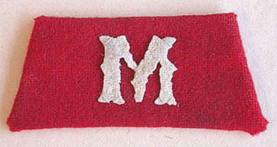 Primera imagen del registro Insignia (artefacto de identificación)