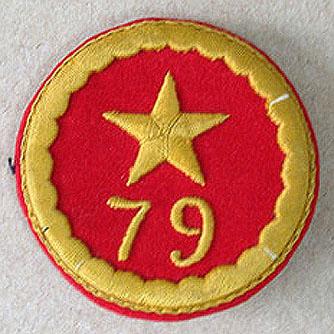 Primera imagen del registro Insignia (artefacto de identificación)