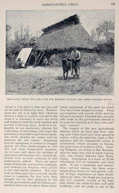 Primera imagen del registro Araucanian Indian hut.