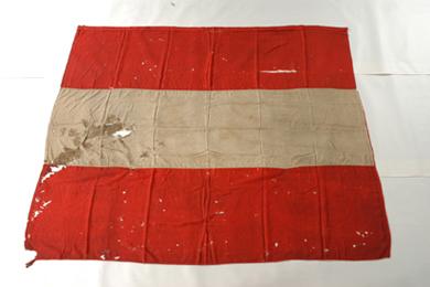 Primera imagen del registro Bandera