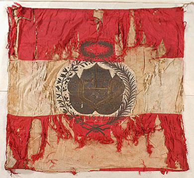 Primera imagen del registro Estandarte