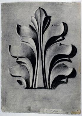 Primera imagen del registro Ornamento
