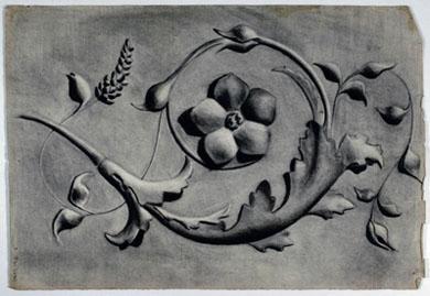 Primera imagen del registro Ornamento