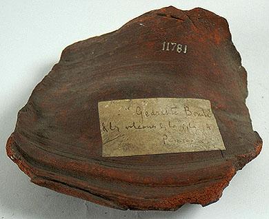 Primera imagen del registro Fragmento (cerámica)