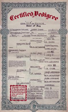 Primera imagen del registro Certificado de Pedigree de Ulk