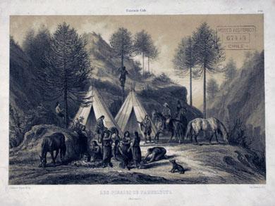 Primera imagen del registro Historia de Chile. Les Pinales de Nahuelbuta