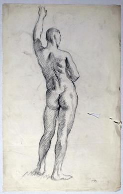 Primera imagen del registro Torso masculino