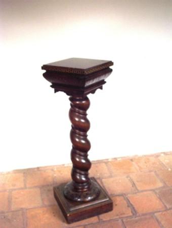 Primera imagen del registro Columna