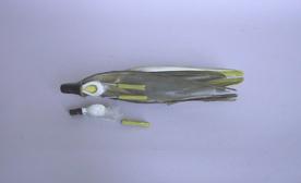 Primera imagen del registro Maqueta