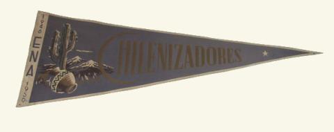 Primera imagen del registro ENA 1946-1950 Chilenizadores