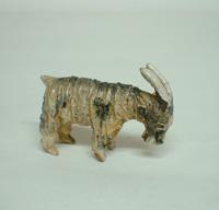 Primera imagen del registro Chivo