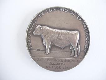 Primera imagen del registro Medalla