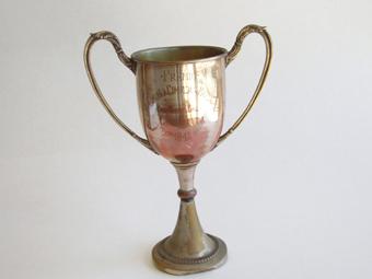 Primera imagen del registro Copa amatoria