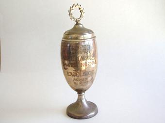 Primera imagen del registro Copa amatoria