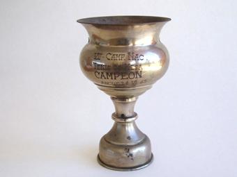 Primera imagen del registro Copa amatoria
