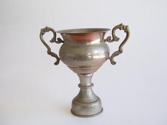 Primera imagen del registro Copa amatoria