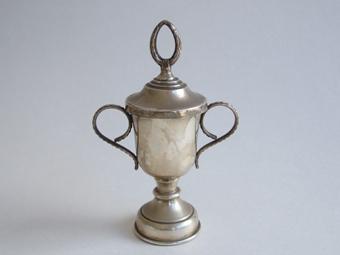 Primera imagen del registro Copa amatoria