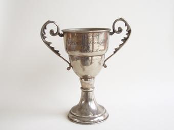 Primera imagen del registro Copa amatoria