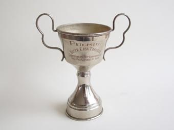 Primera imagen del registro Copa amatoria
