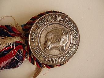 Primera imagen del registro Medalla