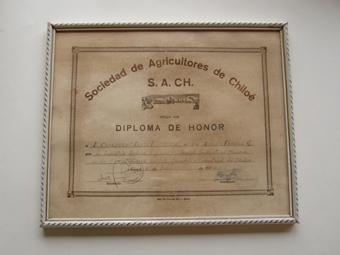 Primera imagen del registro Diploma