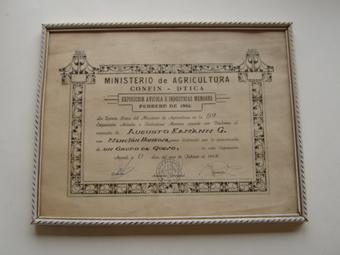 Primera imagen del registro Diploma