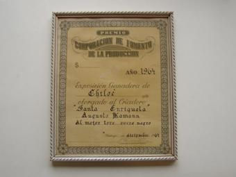 Primera imagen del registro Diploma