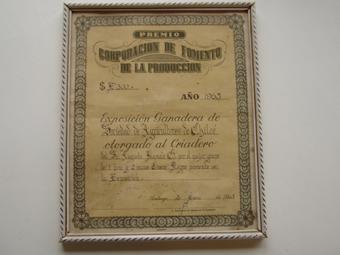 Primera imagen del registro Diploma