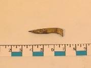 Primera imagen del registro Vástago (arqueología)