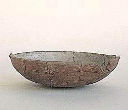 Primera imagen del registro Platillo (plato)