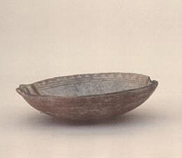 Primera imagen del registro Platillo (plato)
