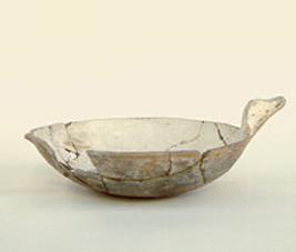 Primera imagen del registro Platillo (plato)