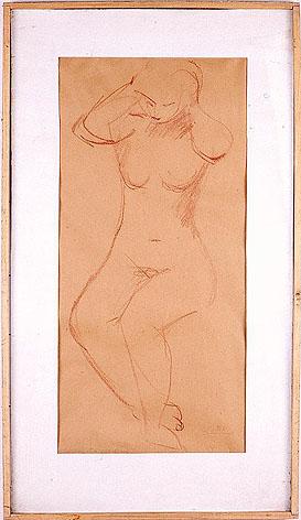 Primera imagen del registro Desnudo
