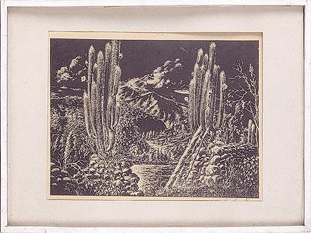 Primera imagen del registro Cactus