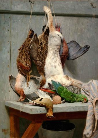 Primera imagen del registro Aves de caza