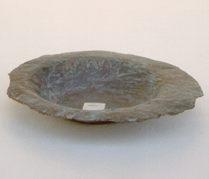 Primera imagen del registro Platillo (plato)
