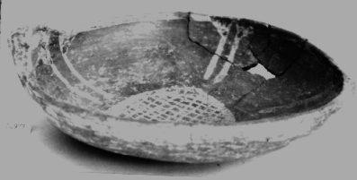 Primera imagen del registro Platillo (plato)
