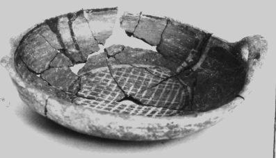 Primera imagen del registro Platillo (plato)