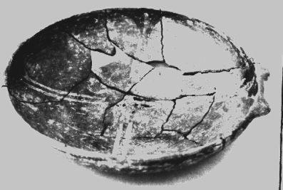 Primera imagen del registro Platillo (plato)