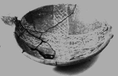 Primera imagen del registro Platillo (plato)