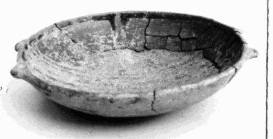 Primera imagen del registro Platillo (plato)