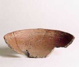 Primera imagen del registro Platillo (plato)