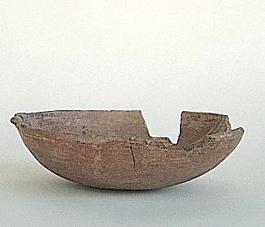Primera imagen del registro Platillo (plato)